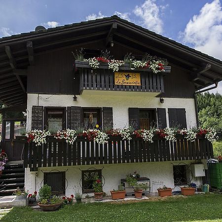 B&B La Genzianella Perarolo di Cadore 외부 사진