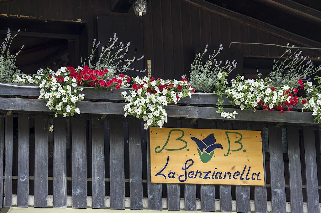 B&B La Genzianella Perarolo di Cadore 외부 사진