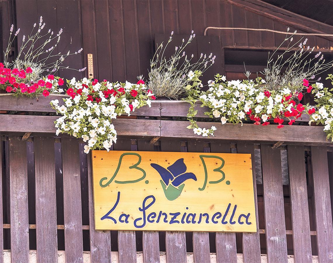 B&B La Genzianella Perarolo di Cadore 외부 사진